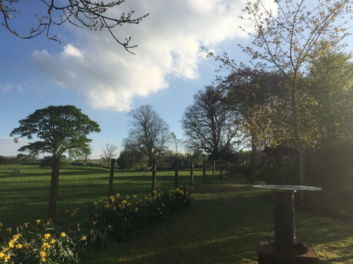 Beech House Bed & Breakfast Greystoke Bagian luar foto