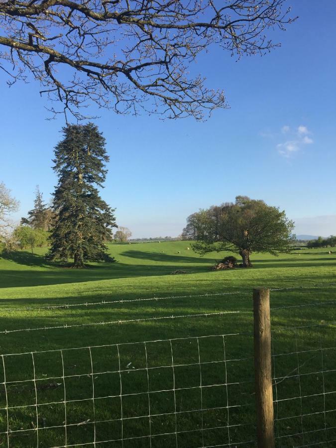 Beech House Bed & Breakfast Greystoke Bagian luar foto